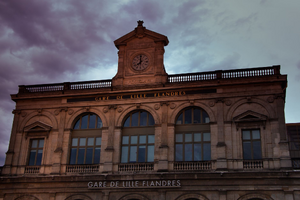 Lutte contre les nuisibles Lille