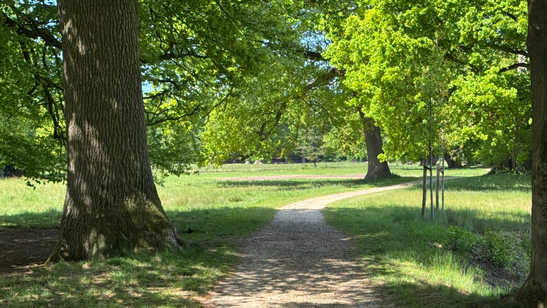 Lutte contre les nuisibles à Lille